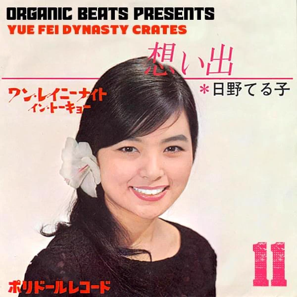 Yue Fei Dynasty Crates Vol. 11 cover